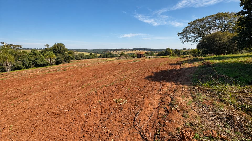 Terra vermelha preparada para plantio, com mata e horizonte ao fundo e céu azul