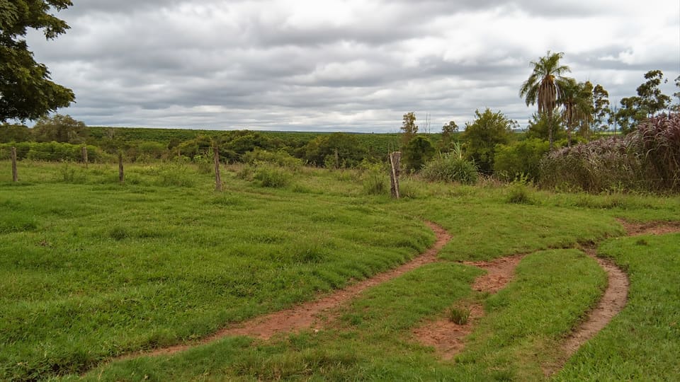 Pastagem verde com trilhas de terra em curva, cerca e palmeiras ao fundo, sob céu nublado